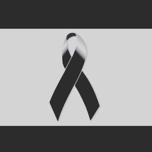 Meet your Posher, Nohemi